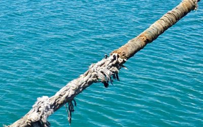 Sentir…Escribir…Sentir.