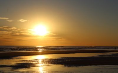 Vivir con el corazón