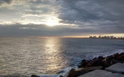 «La fuerza del Corazón»